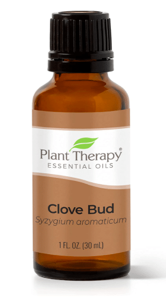 Clove Oil - best essential oil brands