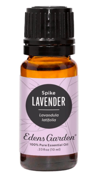 Edens Spike Lavender Oil - best essential oil brands