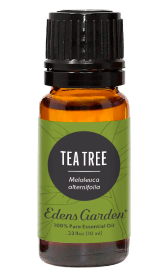 Tea Tree Essential Oil - best essential oil brands