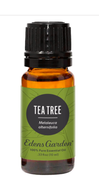 Tea Tree Oil - best essential oil brands