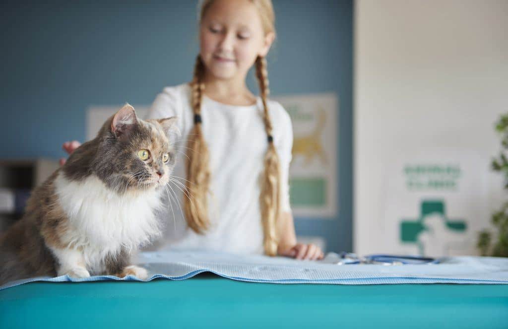 girl and her cat at the vet KQVGZFY 1024x663 1 - best essential oil brands